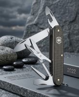Pioneer X Alox Limited Edition 2022 „Thunder Grey“