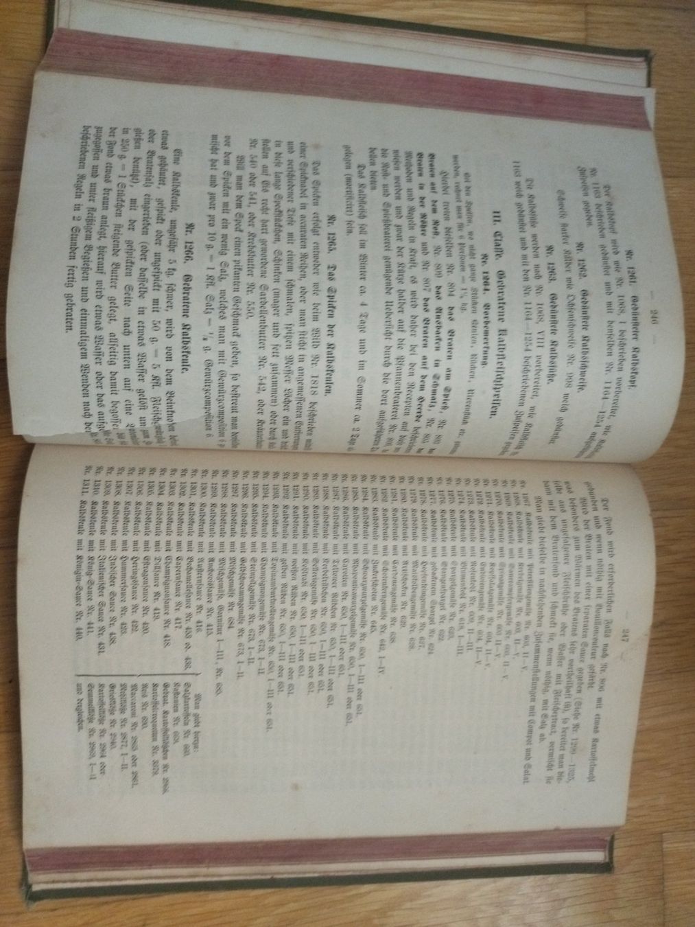 Libri: Kochbuch antik 1886 – Usato da Felben-Wellhausen venduto da bananajoe8474 5