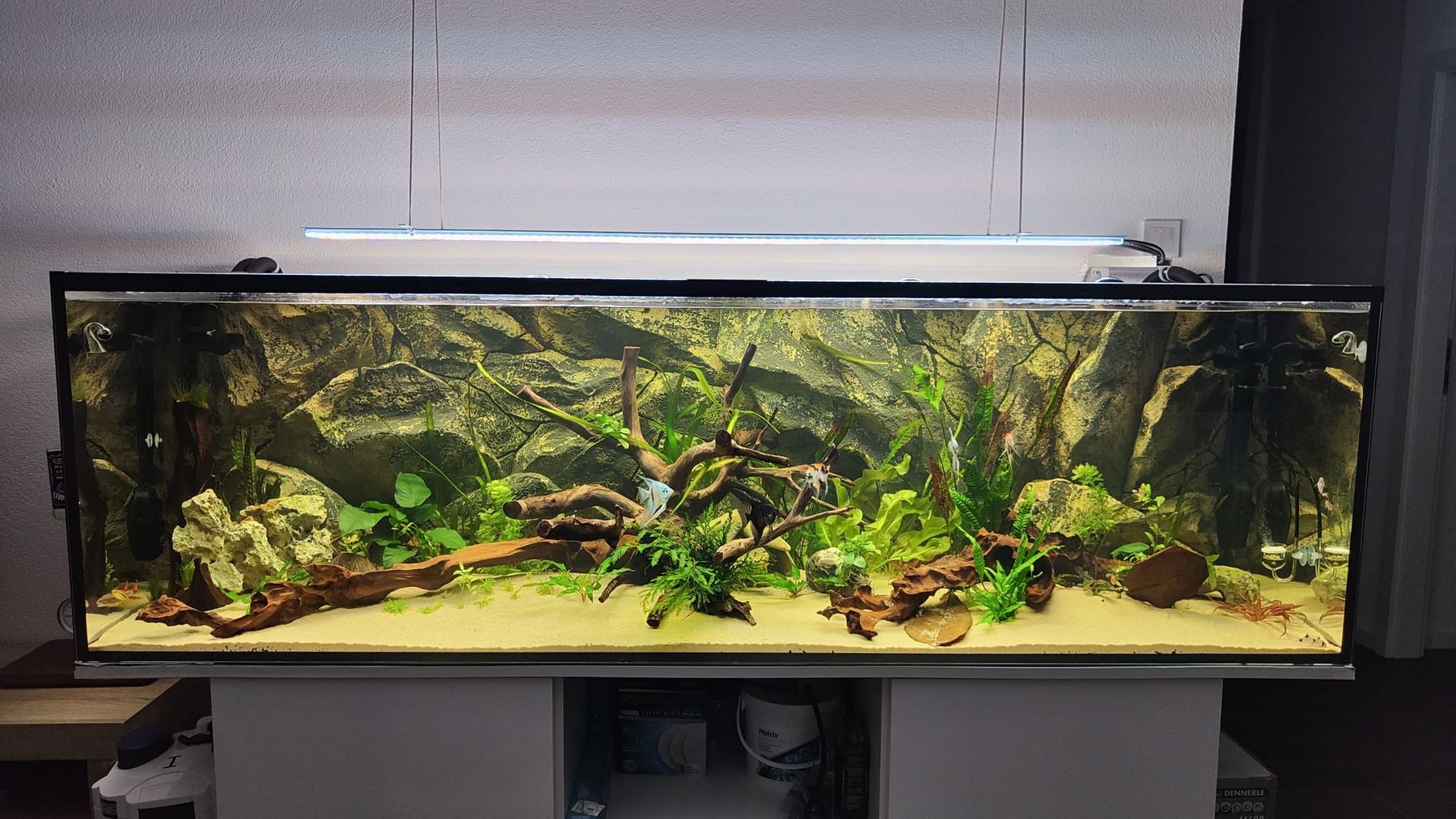 Aquarium: Aquarium 720L – Gebraucht aus Dorénaz von sic_w2bz 1