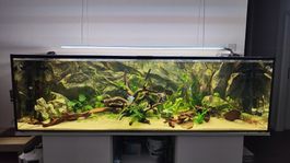 Aquarium 720L complet (vide)