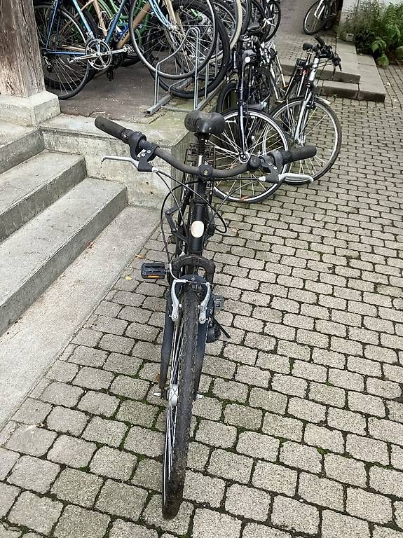 Biciclette: Touring rex alu velo gratis – Difettoso da Bern venduto da AirTerj 1