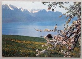 Vue sur le Lac Léman (région de Montreux)