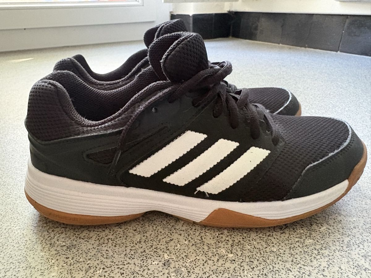 Adidas Herrenschuhe: Adidas Hallenschuhe – Neu (gemäss Beschreibung) aus Bern von SanBuser