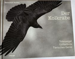 Der Kolkrabe Heinrich Haller Naturbuch Rabenvögel Tierfotogr