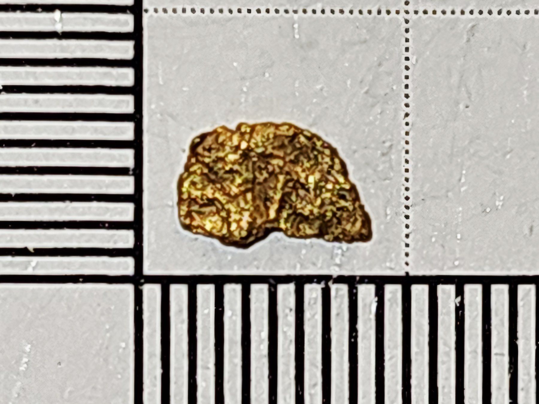 Metalli preziosi: Natürliches schweizer Gold Nugget – Nuovo e nell'imballaggio originale da Uerkheim venduto da Winwinner 1