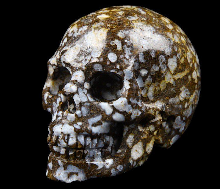Mineralien & Heilsteine: Coffee Opal Skull – Gebraucht aus Walenstadt von vkt_qc8d 2