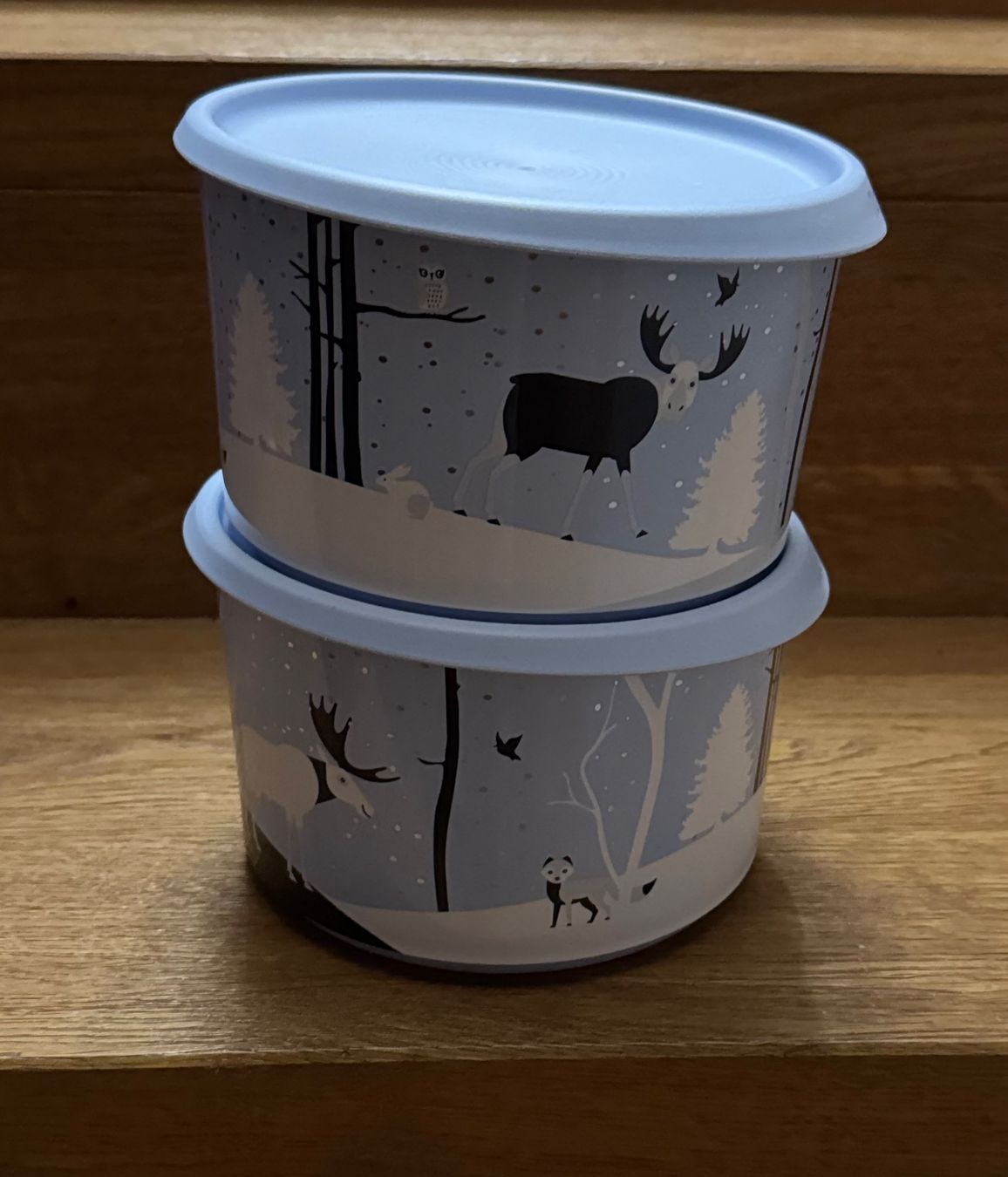 Tupperware Contenitori & Simili: Tupperware Behälter Set – Usato da Herzogenbuchsee venduto da zukerka