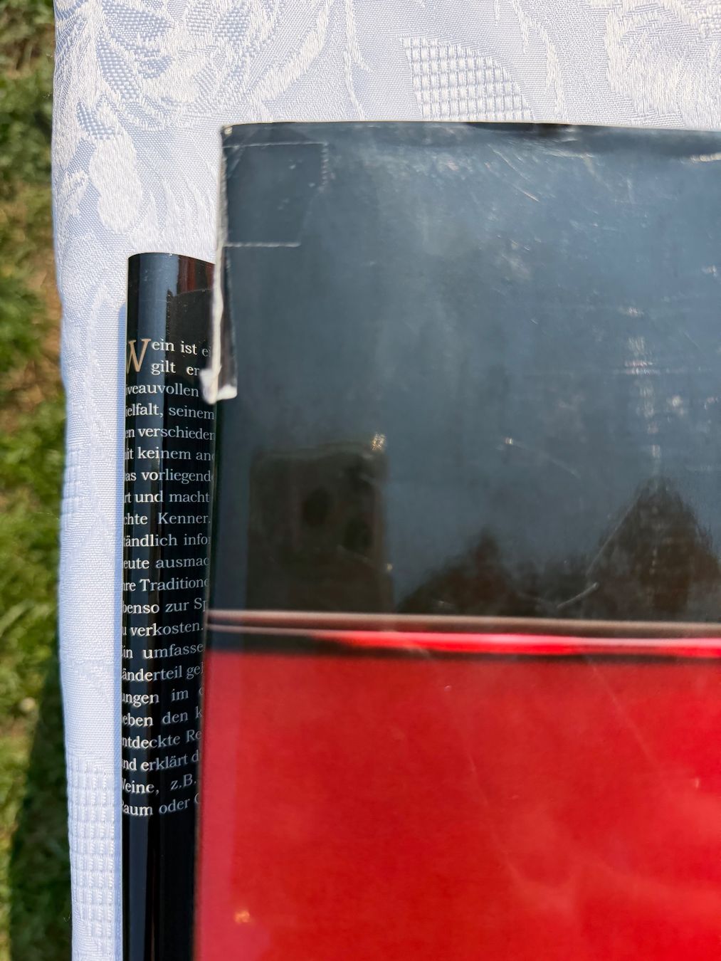 Livres: Grosse Buch "Wein" top zustand – D'occasion à Cugnasco par tizianaq 4