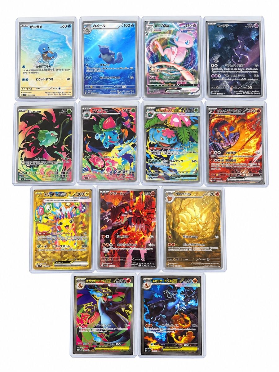 Pokémon Carte collezionabili: Pokemon Sammlung – Nuovo (secondo la descrizione) da Winterthur venduto da Sarahmith97