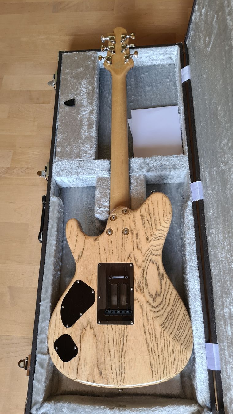 Strumenti musicali: Sugi DS496 6AQM Autumn Leaf Burst – Usato da Gams venduto da meshuggah263 1