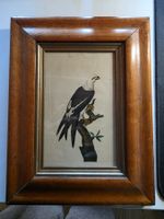 coloriertes antikes Vogel Bild in super Holz Rahmen