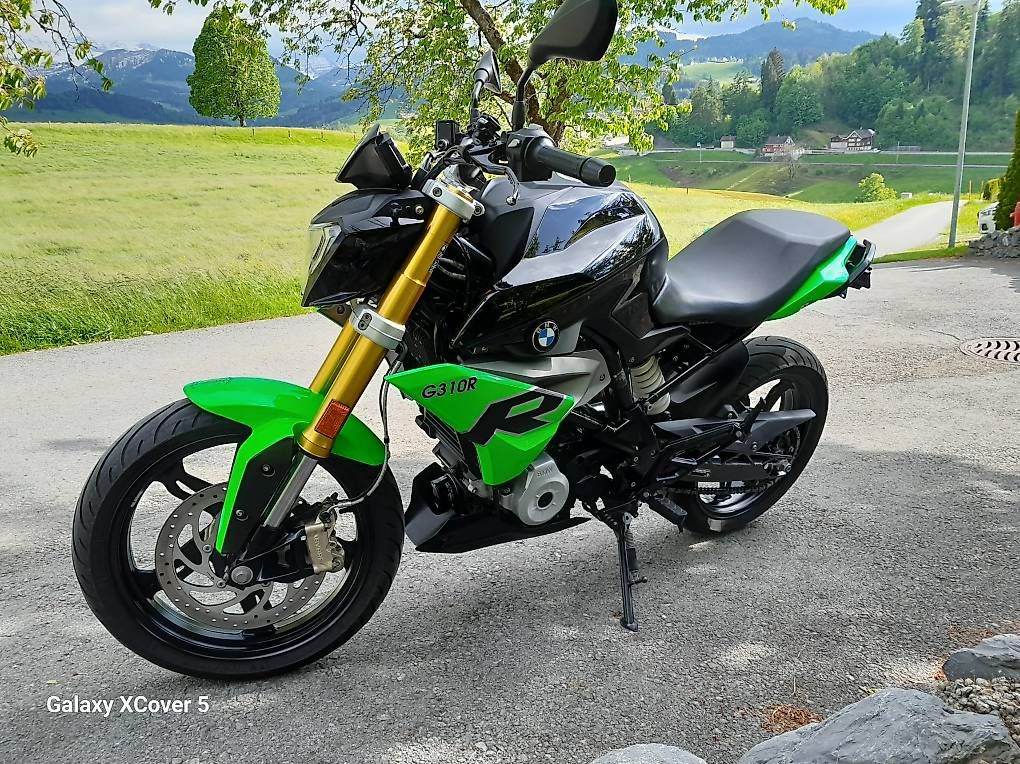 BMW Strada: BMW G 310 R – Usato da Waldstatt venduto da oli_btn7