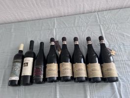  Weinsortiment 8 Flaschen (51)