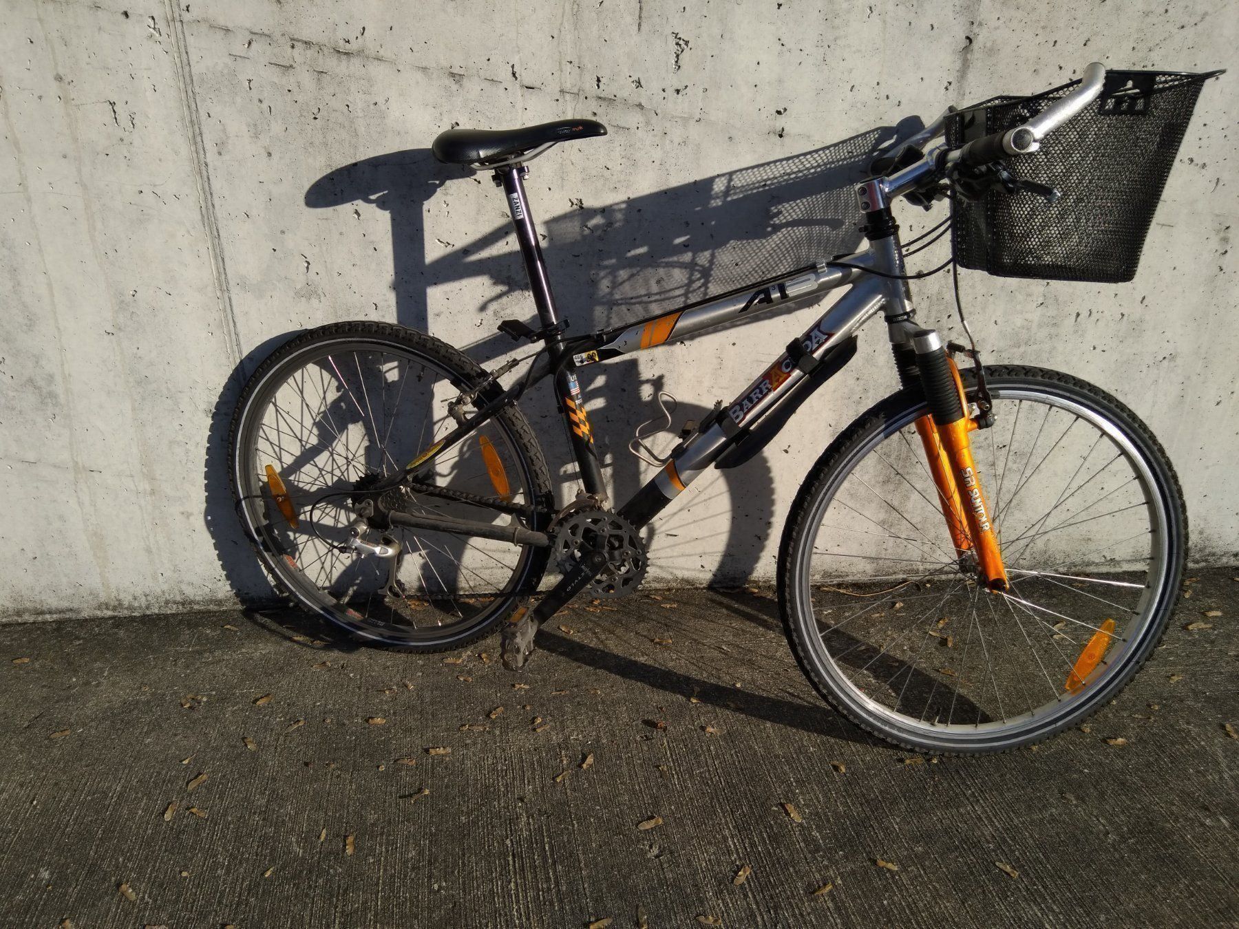 Biciclette: Lady Bike – Usato da Langnau i. E. venduto da karika
