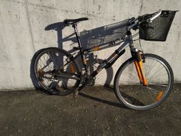 Lady Bike