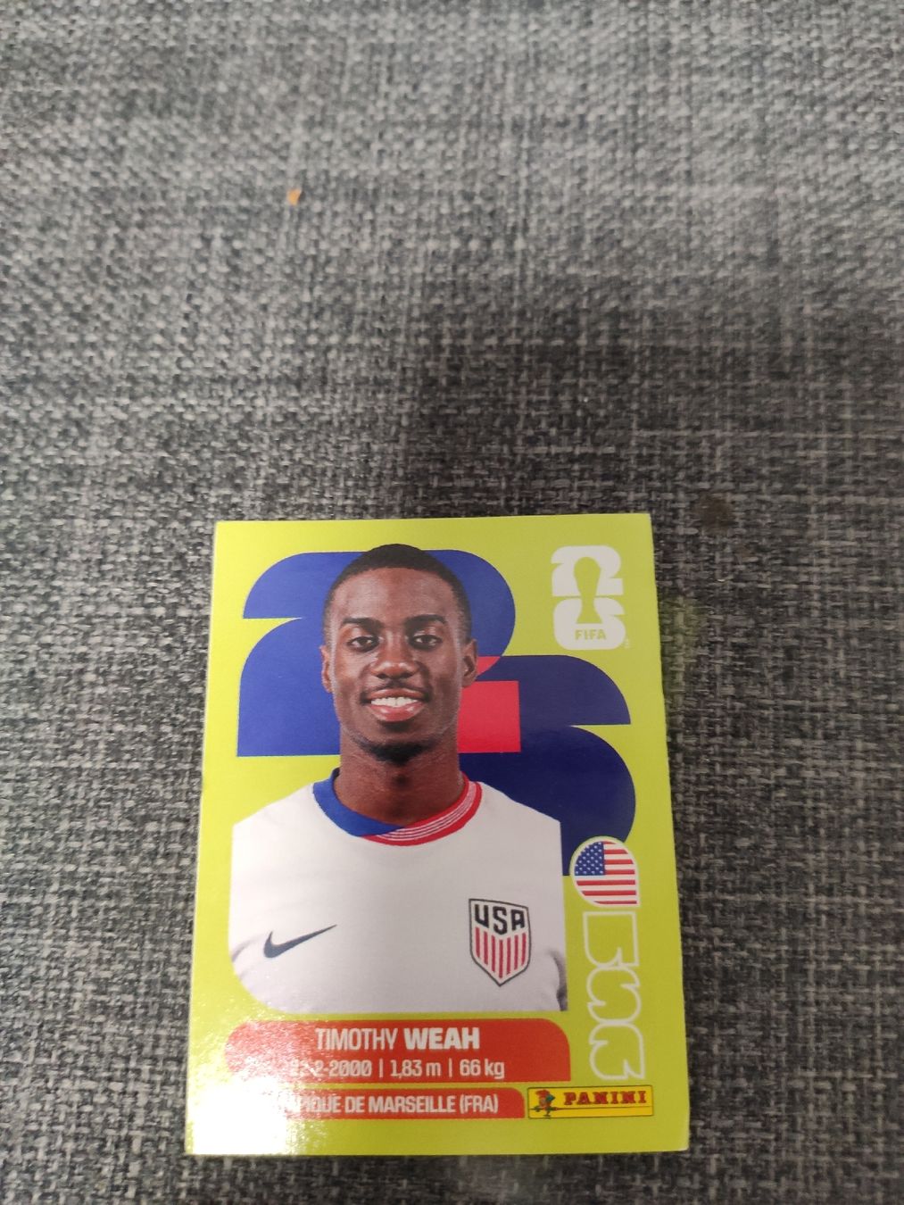 Panini Cartes à collectionner: panini USA 12 – D'occasion à Ettenhausen TG par danielhoop