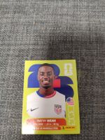 panini USA 12