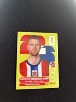 Panini NOR 5