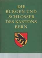 Burg Ruine Schlösser Bern (Ritter MIttelalter Archäologie)