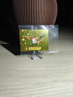 FWC 00 – Panini WM 2026 United Edition - FWC00
