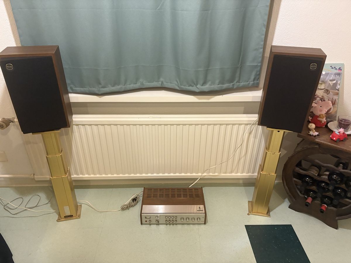 Tannoy Casse acustiche: Tannoy Lautsprecher Titan – Usato da Seuzach venduto da Zappulla 1