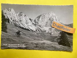 W 1115 Alp Jänzimatt  mit Schafnase und Rossflue