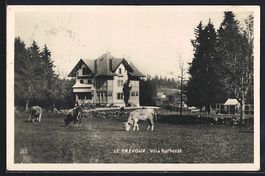 Le Prévoux, Villa Barbezat, grasende K