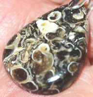 Anhänger L-5978 – Turritella Achat Cabochon ca. 26x19mm