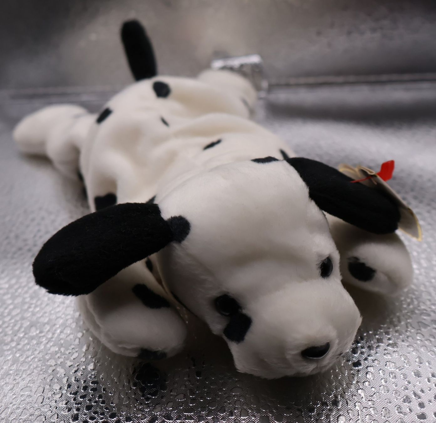 Ty Giocattoli: Ty Beanie Baby  DOTTY .. Geb.17.10.1996 – Usato da winterthur venduto da Beanieswis