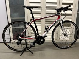 Trek Domane Rennrad Carbon