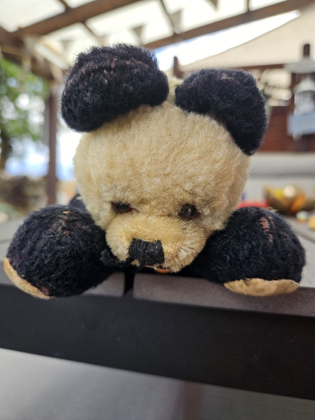 Jouets: Teddybär alt/Vintage 24cm – D'occasion à Mühlethurnen par Zauberfee3