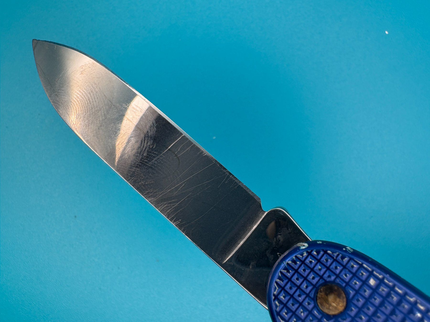Victorinox Coltelli tascabile: Victorinox Bugnard Pruner Alox Schalen – Usato da Elgg venduto da Jo_Naj 3