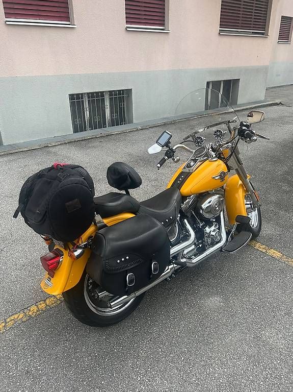 Harley-Davidson Chopper: Magnifique Harley-Davidson FLSTF Softail – Usato da Sion venduto da clarob1962 2