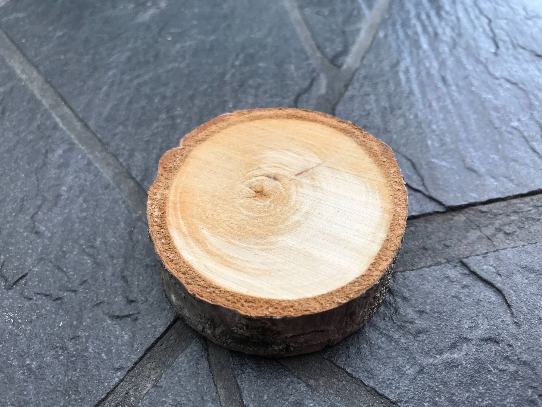 Articles en bois: Holzscheiben – Neuf avec emballage d'origine à Buttwil par mina010 2