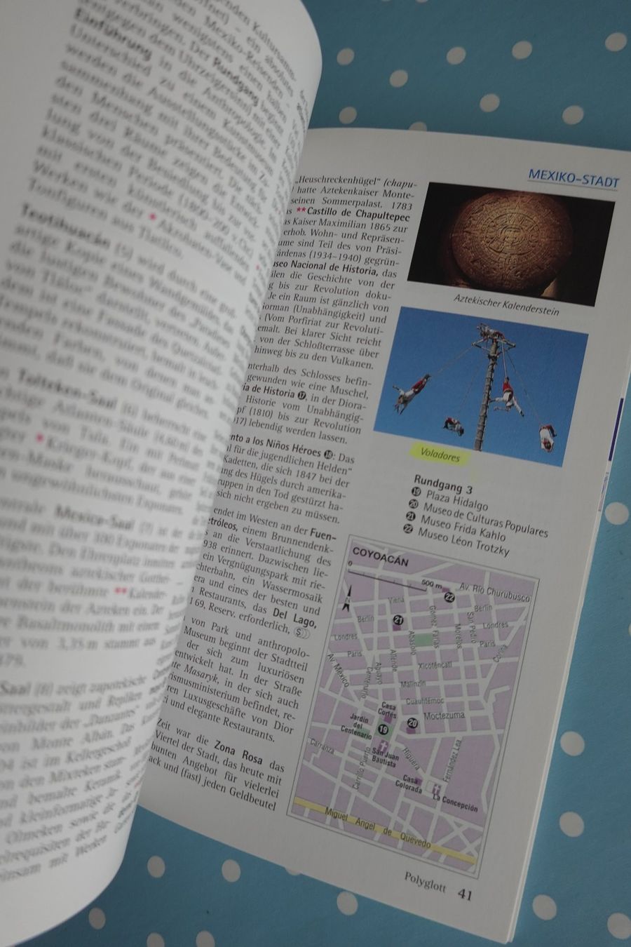 Libri: handlicher Reiseführer Mexiko - Polyglott - Reisen – Usato da Jona venduto da JOberg_25 5