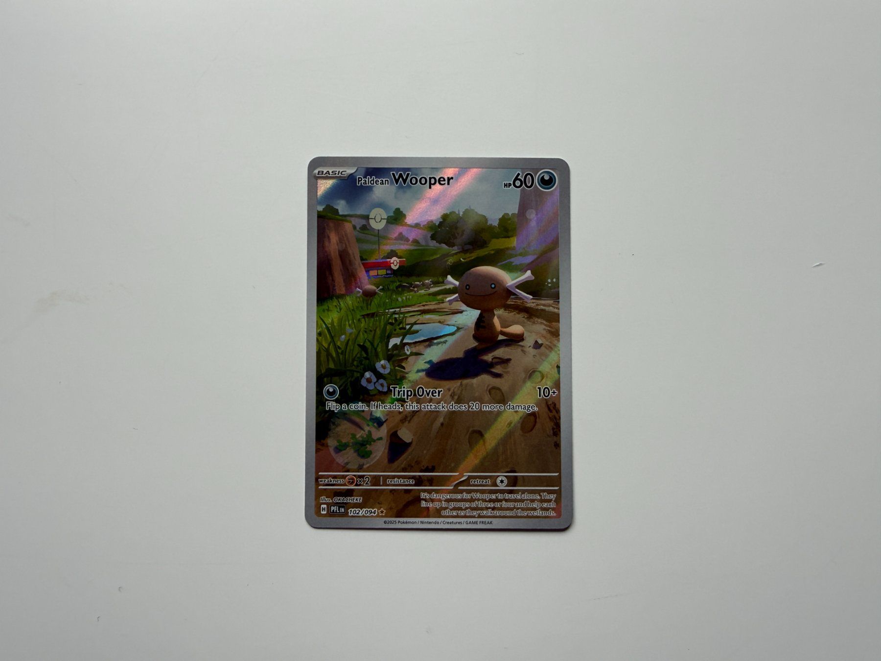 Pokémon Carte collezionabili: Paldean Wooper #102 Pokemon Phantasmal Flames – Nuovo e nell'imballaggio originale da Zürich venduto da dren