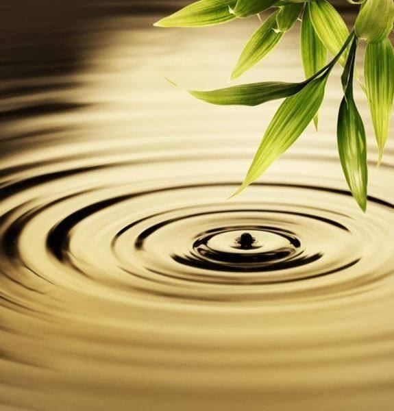 Riscaldamento: Infrarotheizung mit Bild – Nuovo e nell'imballaggio originale da Stein am Rhein venduto da infrarot-bildheizung 1