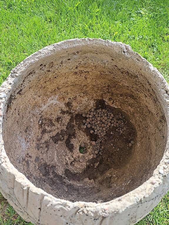 Vasi per fiori: Betonkugel / Pflanztopf – Usato da Weinfelden venduto da Mausi2 1