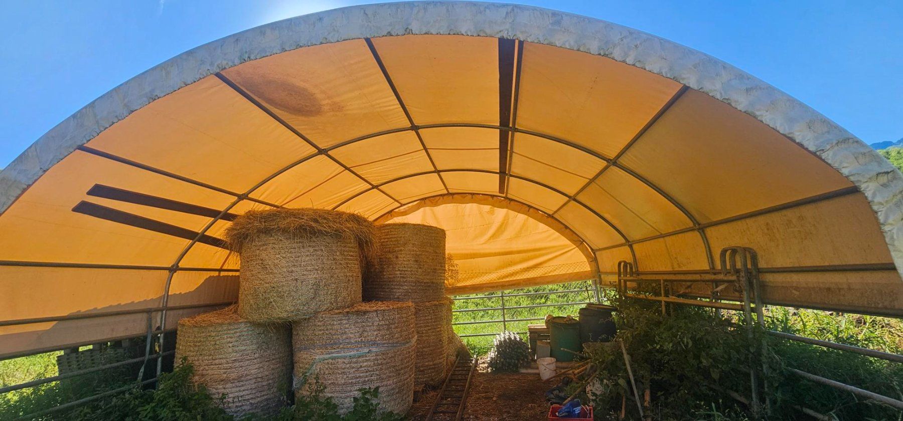 Accessori per la stalla: Weideuntterstand Rundbogenzelt – Usato da Steinen venduto da Holz1 8