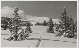 Fotokarte Eug. Widmer, Flumserberg, 1933