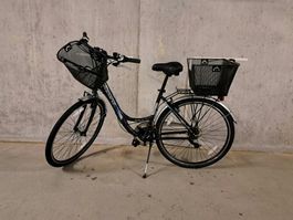 Damen City Fahrrad Leopard