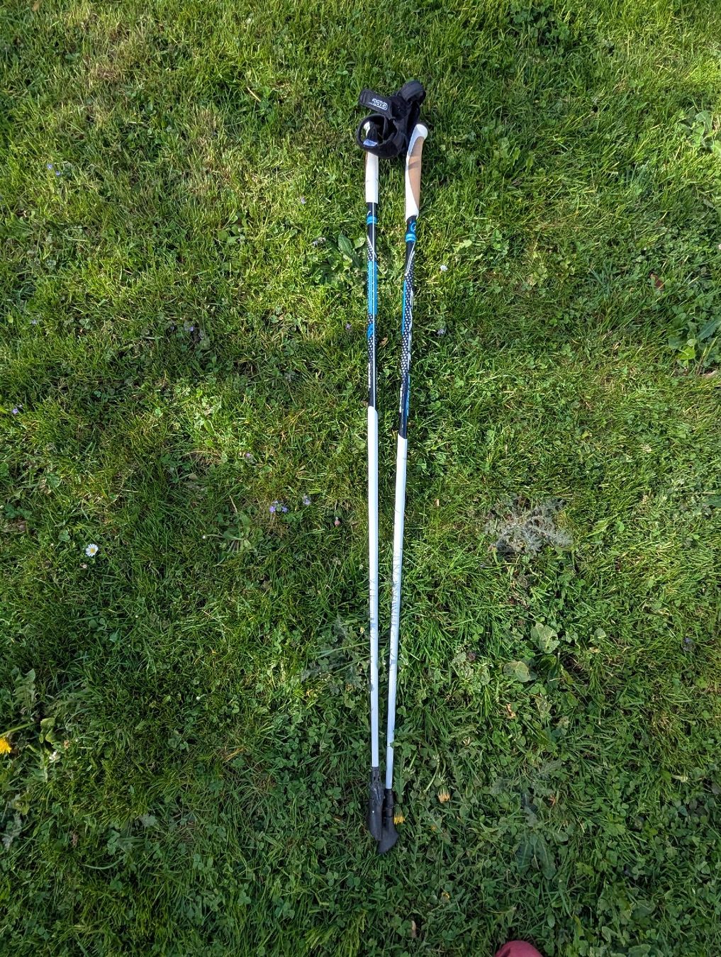 Bâtons de marche: Nordic Walking Stöcke 120cm – D'occasion à Hofstetten ZH par Raiona 6