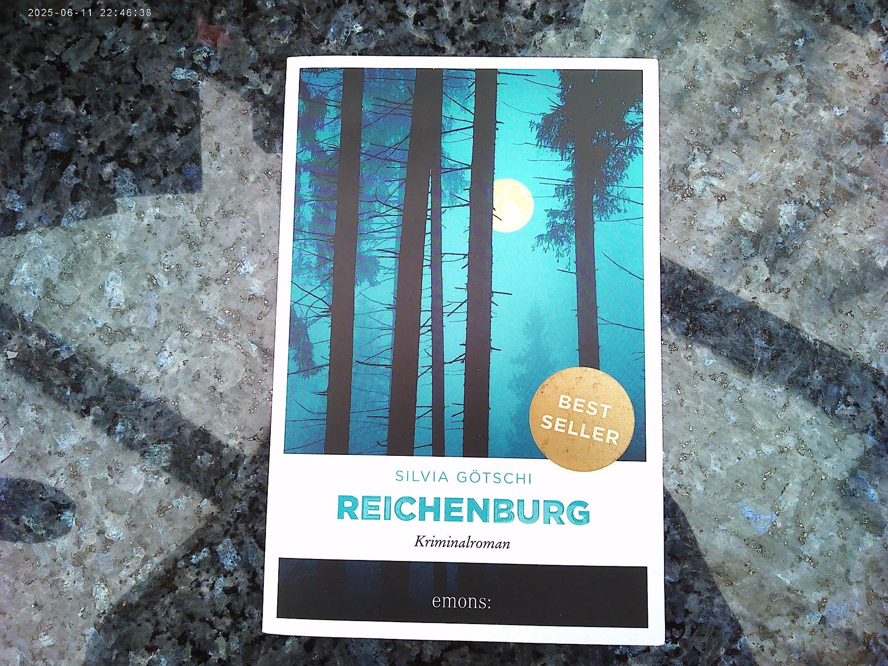 Libri: Reichenburg von Silvia Götschi – Usato da reitnau venduto da Sib7