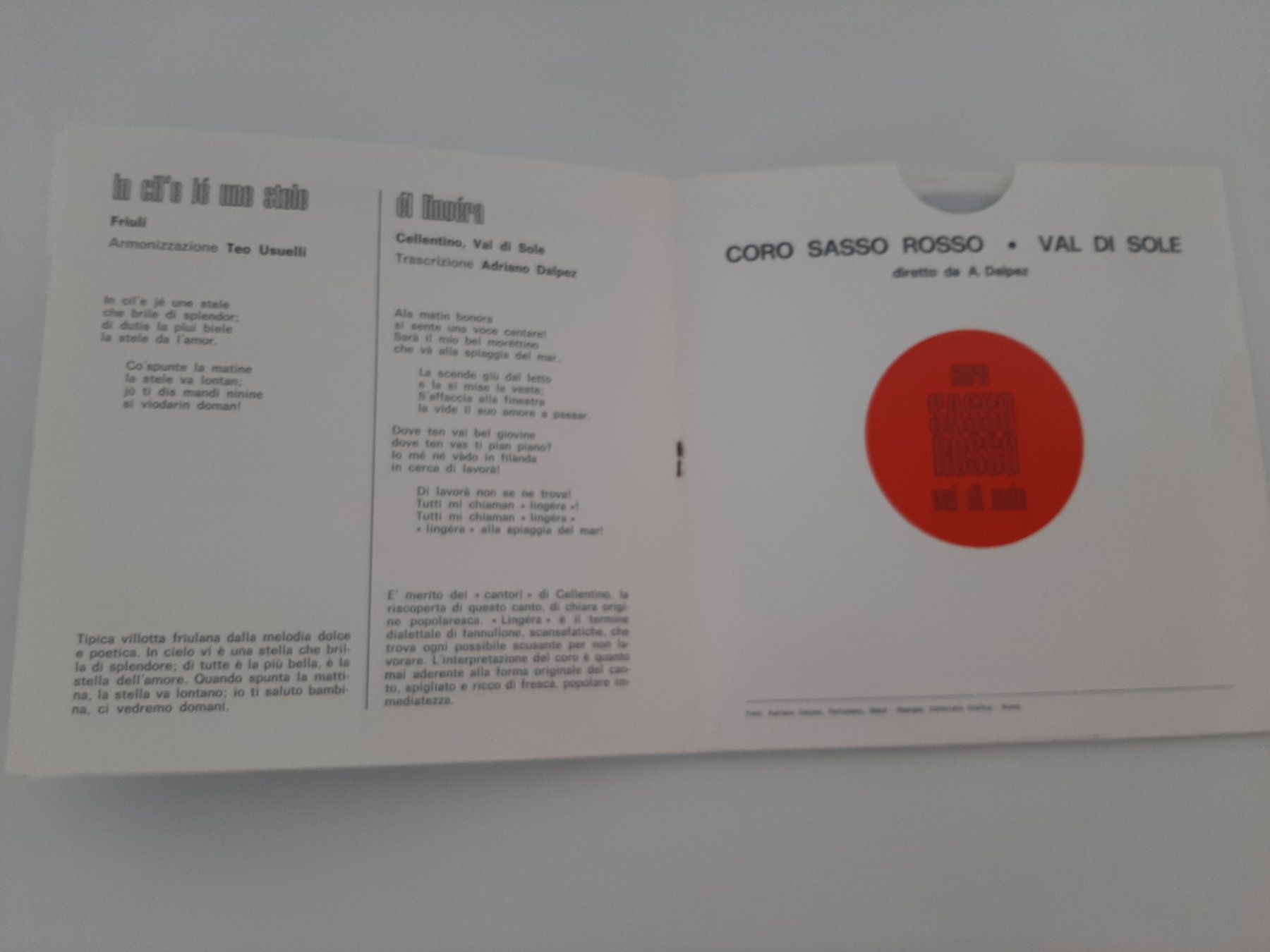 Dischi in vinile: Coro Sasso Rosso val di sole Schallplatte – Usato da Aarburg venduto da NDK 3