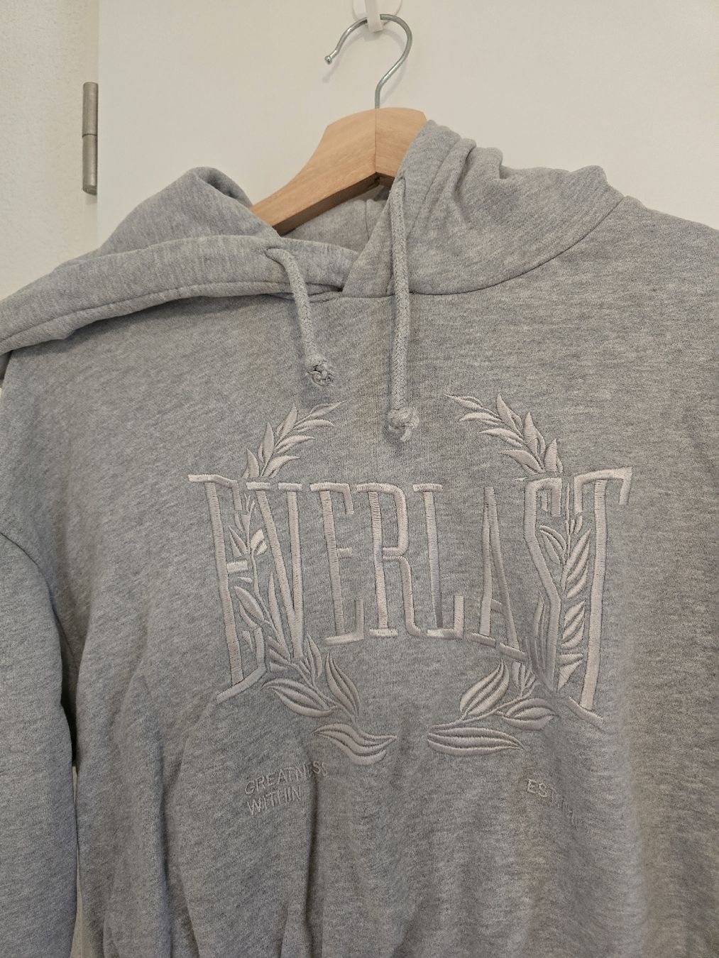 Everlast Pulls & Sweat-shirts: Sweat gris Everlast – Neuf (Voir description) à Martigny par joanavale