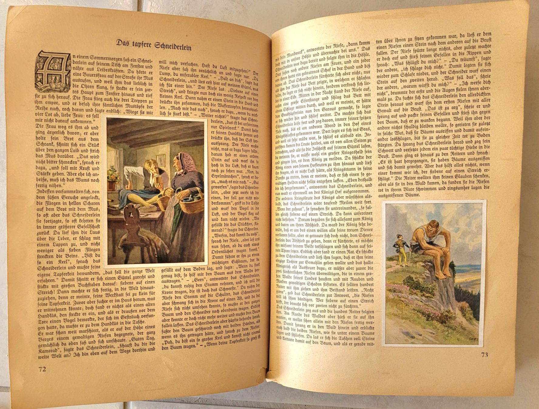Libri: Aus Wald und Flur und Deutsche Märchen – Usato da Oberuzwil venduto da rtr_wp6m 6