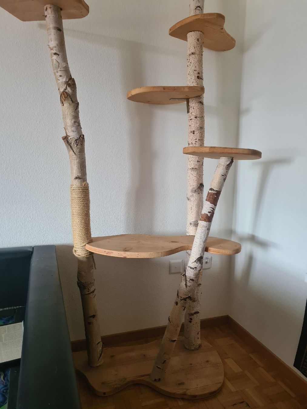 Tiragraffi: Katzenbaum Birkenholz – Usato da Thayngen venduto da Zwila99 1