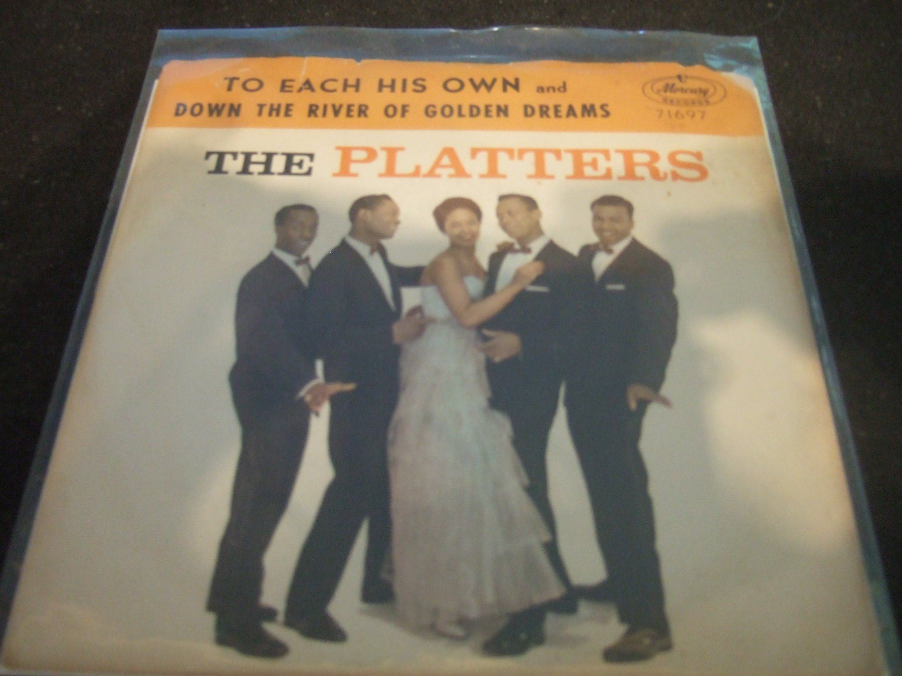 Vinyles: The Platters – D'occasion à Bassersdorf par Pparty1