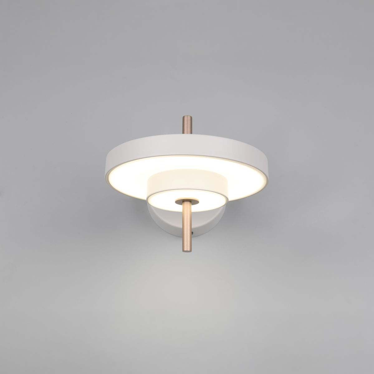 Lampade: LED Wandleuchte, Grau, Dimmbar, 20 cm Ø – Nuovo (secondo la descrizione) da Kreuzlingen venduto da Smart-Light 1