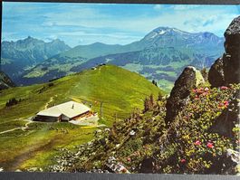 Lenk, Gondelbahn Betelberg